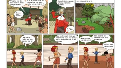 Le Club des DID-1, Jeu, Set et Match, Le Mystère du Stapula, Les Ilots de Langerhans, la BD