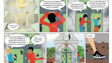 Le Club des DID-1, Jeu, Set et Match, Le Mystère du Stapula, Les Ilots de Langerhans, la BD