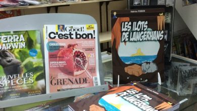 Le Club des DID-1, Jeu, Set et Match, Le Mystère du Stapula, Les Ilots de Langerhans, la BD