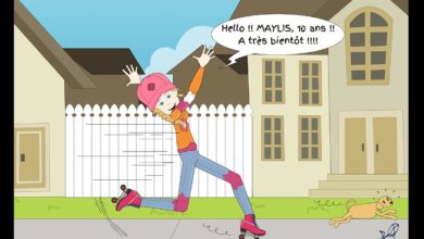 Le Club des DID-1, Jeu, Set et Match, Le Mystère du Stapula, Les Ilots de Langerhans, la BD