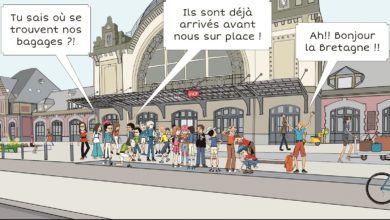 Le Club des DID-1, Jeu, Set et Match, Le Mystère du Stapula, Les Ilots de Langerhans, la BD