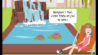 Le Club des DID-1, Jeu, Set et Match, Le Mystère du Stapula, Les Ilots de Langerhans, la BD