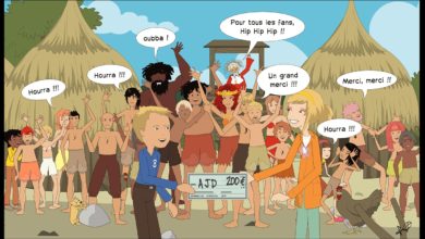 Le Club des DID-1, Jeu, Set et Match, Le Mystère du Stapula, Les Ilots de Langerhans, la BD
