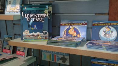 Le Club des DID-1, Jeu, Set et Match, Le Mystère du Stapula, Les Ilots de Langerhans, la BD