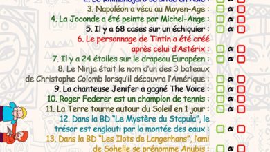 Le Club des DID-1, Jeu, Set et Match, Le Mystère du Stapula, Les Ilots de Langerhans, la BD