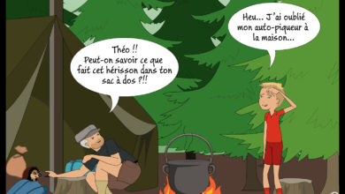 Le Club des DID-1, Jeu, Set et Match, Le Mystère du Stapula, Les Ilots de Langerhans, la BD