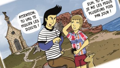 Le Club des DID-1, Jeu, Set et Match, Le Mystère du Stapula, Les Ilots de Langerhans, la BD