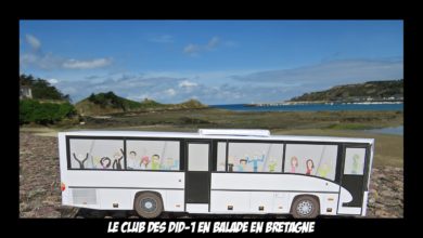 Le Club des DID-1, Jeu, Set et Match, Le Mystère du Stapula, Les Ilots de Langerhans, la BD