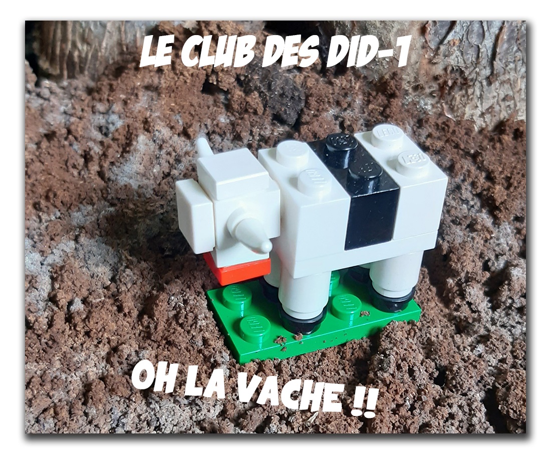 Le Club des DID-1, Jeu, Set et Match, Le Mystère du Stapula, Les Ilots de Langerhans, la BD