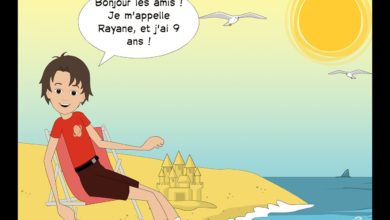 Le Club des DID-1, Jeu, Set et Match, Le Mystère du Stapula, Les Ilots de Langerhans, la BD