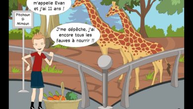 Le Club des DID-1, Jeu, Set et Match, Le Mystère du Stapula, Les Ilots de Langerhans, la BD