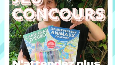 Le Club des DID-1, Jeu, Set et Match, Le Mystère du Stapula, Les Ilots de Langerhans, la BD