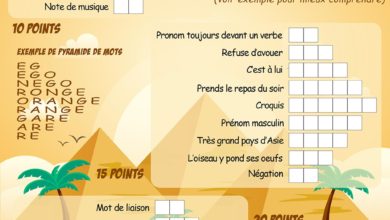 Le Club des DID-1, Jeu, Set et Match, Le Mystère du Stapula, Les Ilots de Langerhans, la BD