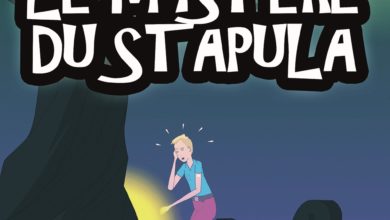 Le Club des DID-1, Jeu, Set et Match, Le Mystère du Stapula, Les Ilots de Langerhans, la BD