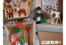 Le Club des DID-1, Jeu, Set et Match, Le Mystère du Stapula, Les Ilots de Langerhans, la BD