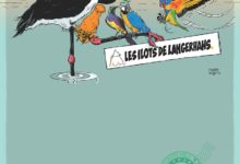 Le Club des DID-1, Jeu, Set et Match, Le Mystère du Stapula, Les Ilots de Langerhans, la BD