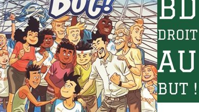 Le Club des DID-1, Jeu, Set et Match, Le Mystère du Stapula, Les Ilots de Langerhans, la BD