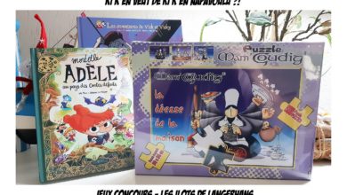 Le Club des DID-1, Jeu, Set et Match, Le Mystère du Stapula, Les Ilots de Langerhans, la BD