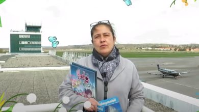 Le Club des DID-1, Jeu, Set et Match, Le Mystère du Stapula, Les Ilots de Langerhans, la BD