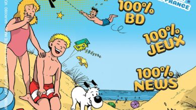 Le Club des DID-1, Jeu, Set et Match, Le Mystère du Stapula, Les Ilots de Langerhans, la BD