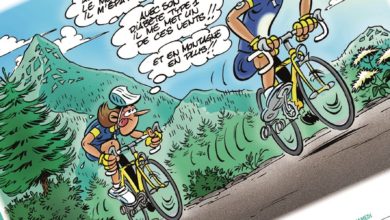 Le Club des DID-1, Jeu, Set et Match, Le Mystère du Stapula, Les Ilots de Langerhans, la BD