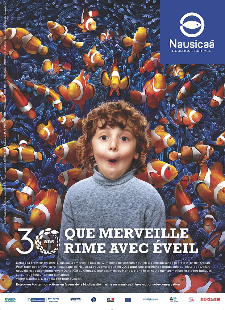 Le Club des DID-1, Jeu, Set et Match, Le Mystère du Stapula, Les Ilots de Langerhans, la BD