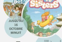 Le Club des DID-1, Jeu, Set et Match, Le Mystère du Stapula, Les Ilots de Langerhans, la BD