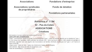 Le Club des DID-1, Jeu, Set et Match, Le Mystère du Stapula, Les Ilots de Langerhans, la BD