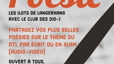 Le Club des DID-1, Jeu, Set et Match, Le Mystère du Stapula, Les Ilots de Langerhans, la BD