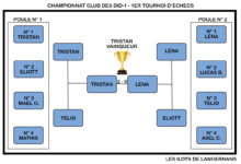 Le Club des DID-1, Jeu, Set et Match, Le Mystère du Stapula, Les Ilots de Langerhans, la BD