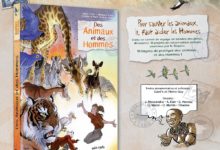 Le Club des DID-1, Jeu, Set et Match, Le Mystère du Stapula, Les Ilots de Langerhans, la BD