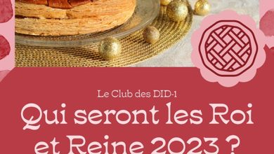 Le Club des DID-1, Jeu, Set et Match, Le Mystère du Stapula, Les Ilots de Langerhans, la BD