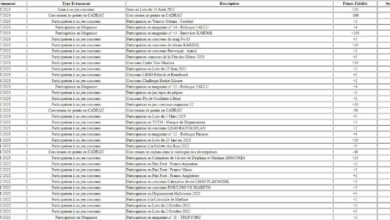 Le Club des DID-1, Jeu, Set et Match, Le Mystère du Stapula, Les Ilots de Langerhans, la BD, Enfant diabétique de type 1, Diabète, DT1