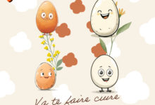Association Française des Enfants Diabétiques de Type 1 et Leurs Familles, Le Club des DID-1, Jeu, Set et Match, Le Mystère du Stapula, Les Ilots de Langerhans, la BD