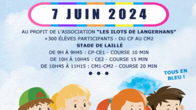 Association Française des Enfants Diabétiques de Type 1 et Leurs Familles, Le Club des DID-1, Jeu, Set et Match, Le Mystère du Stapula, Les Ilots de Langerhans, la BD