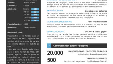 Association Française des Enfants Diabétiques de Type 1 et Leurs Familles, Le Club des DID-1, Jeu, Set et Match, Le Mystère du Stapula, Les Ilots de Langerhans, la BD