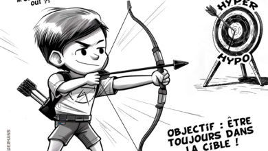 Association Française des Enfants Diabétiques de Type 1 et Leurs Familles, Le Club des DID-1, Jeu, Set et Match, Le Mystère du Stapula, Les Ilots de Langerhans, la BD