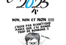 Association Française des Enfants Diabétiques de Type 1 et Leurs Familles, Le Club des DID-1, Jeu, Set et Match, Le Mystère du Stapula, Les Ilots de Langerhans, la BD