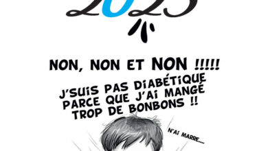 Association Française des Enfants Diabétiques de Type 1 et Leurs Familles, Le Club des DID-1, Jeu, Set et Match, Le Mystère du Stapula, Les Ilots de Langerhans, la BD