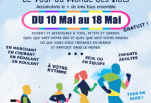 Association Française des Enfants Diabétiques de Type 1 et Leurs Familles, Le Club des DID-1, Jeu, Set et Match, Le Mystère du Stapula, Les Ilots de Langerhans, la BD