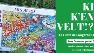 Le Club des DID-1, Jeu, Set et Match, Le Mystère du Stapula, Les Ilots de Langerhans, la BD