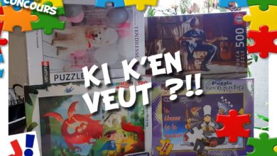 Le Club des DID-1, Jeu, Set et Match, Le Mystère du Stapula, Les Ilots de Langerhans, la BD
