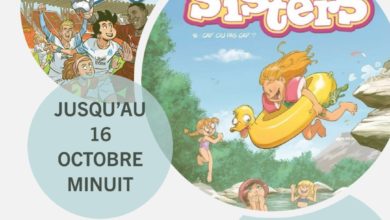Le Club des DID-1, Jeu, Set et Match, Le Mystère du Stapula, Les Ilots de Langerhans, la BD