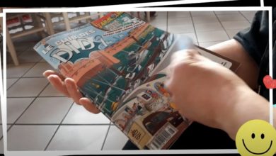 Le Club des DID-1, Jeu, Set et Match, Le Mystère du Stapula, Les Ilots de Langerhans, la BD