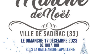 Association Française des Enfants Diabétiques de Type 1 et Leurs Familles, Le Club des DID-1, Jeu, Set et Match, Le Mystère du Stapula, Les Ilots de Langerhans, la BD