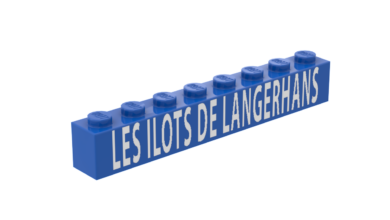 Association Française des Enfants Diabétiques de Type 1 et Leurs Familles, Le Club des DID-1, Jeu, Set et Match, Le Mystère du Stapula, Les Ilots de Langerhans, la BD