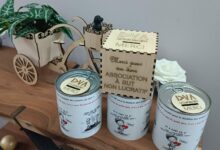 Association Française des Enfants Diabétiques de Type 1 et Leurs Familles, Le Club des DID-1, Jeu, Set et Match, Le Mystère du Stapula, Les Ilots de Langerhans, la BD