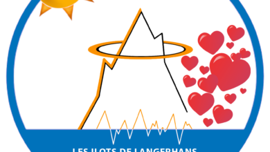 Association Française des Enfants Diabétiques de Type 1 et Leurs Familles, Le Club des DID-1, Jeu, Set et Match, Le Mystère du Stapula, Les Ilots de Langerhans, la BD