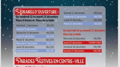 Association Française des Enfants Diabétiques de Type 1 et Leurs Familles, Le Club des DID-1, Jeu, Set et Match, Le Mystère du Stapula, Les Ilots de Langerhans, la BD