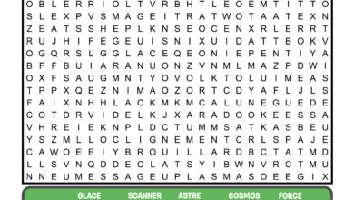 Association Française des Enfants Diabétiques de Type 1 et Leurs Familles, Le Club des DID-1, Jeu, Set et Match, Le Mystère du Stapula, Les Ilots de Langerhans, la BD